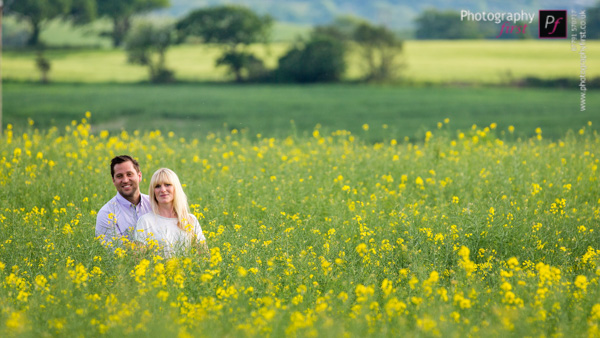 South Wales Rapeseed Field (4)