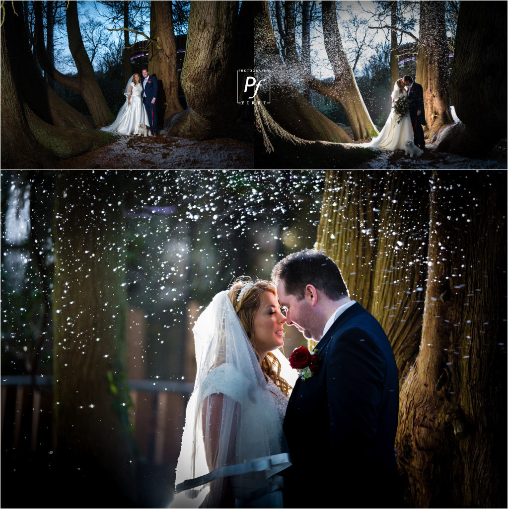 wedding photographers fairyhill