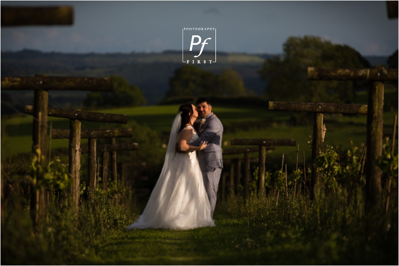 Jabajak Vineyard Wedding Photographer South Wales