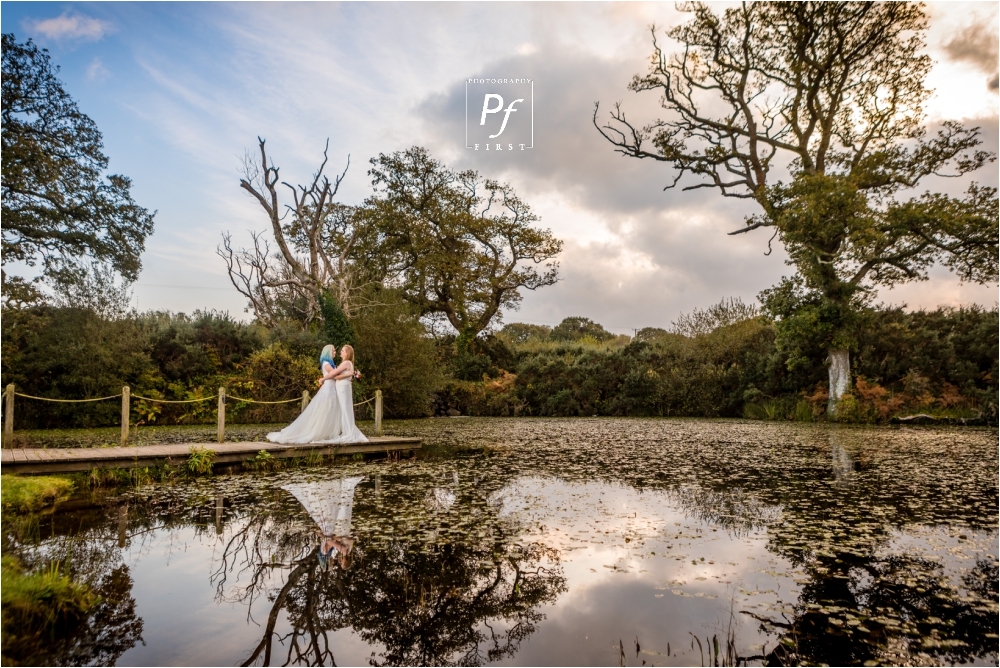 Oldwalls Wedding Photographer