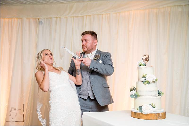 Cake Cutting Wedding Photos