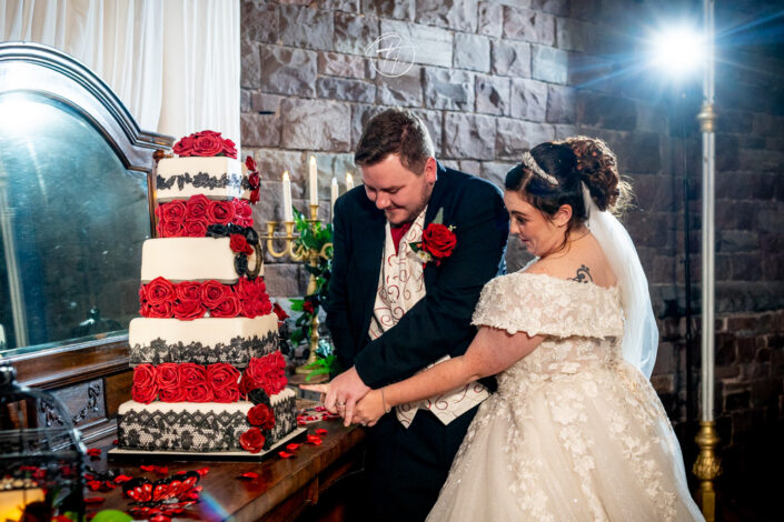 Cake Cutting Wedding Photo - Craig Y Nos